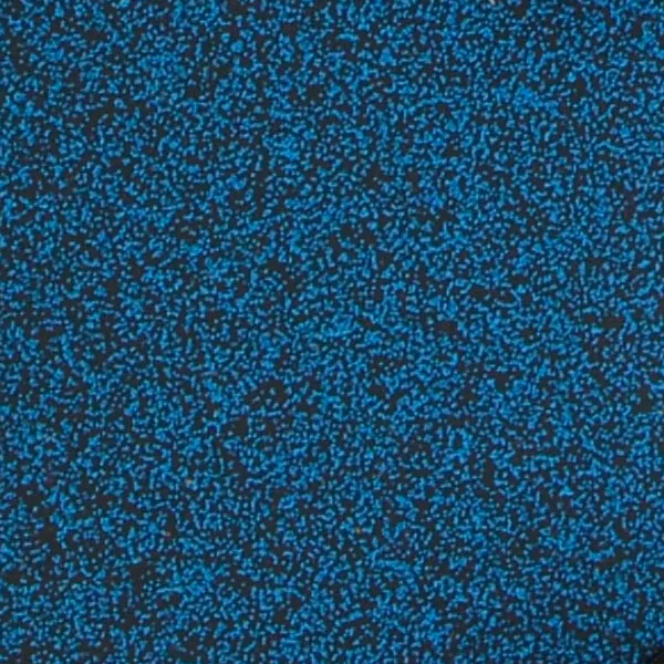 カリビアン・ブルー <CB>