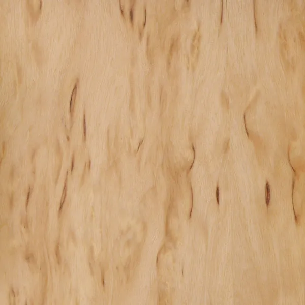 コットンウッド・メイプル