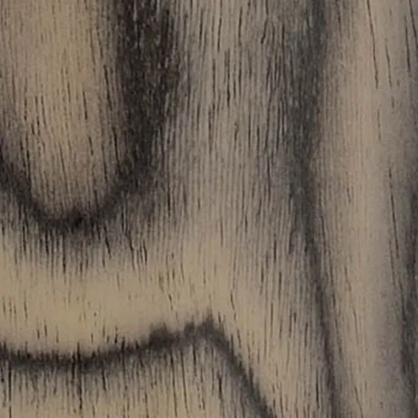 スノー・タイガー <SNT>